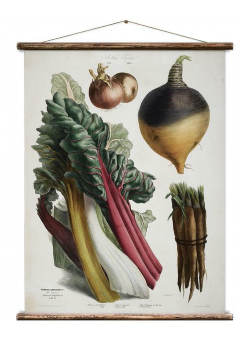 Wall Hanging by Erstwhile | Botanicals | Album Vilmorin