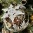 Walther & Co | Christmas Snowflake Ball| 10cm